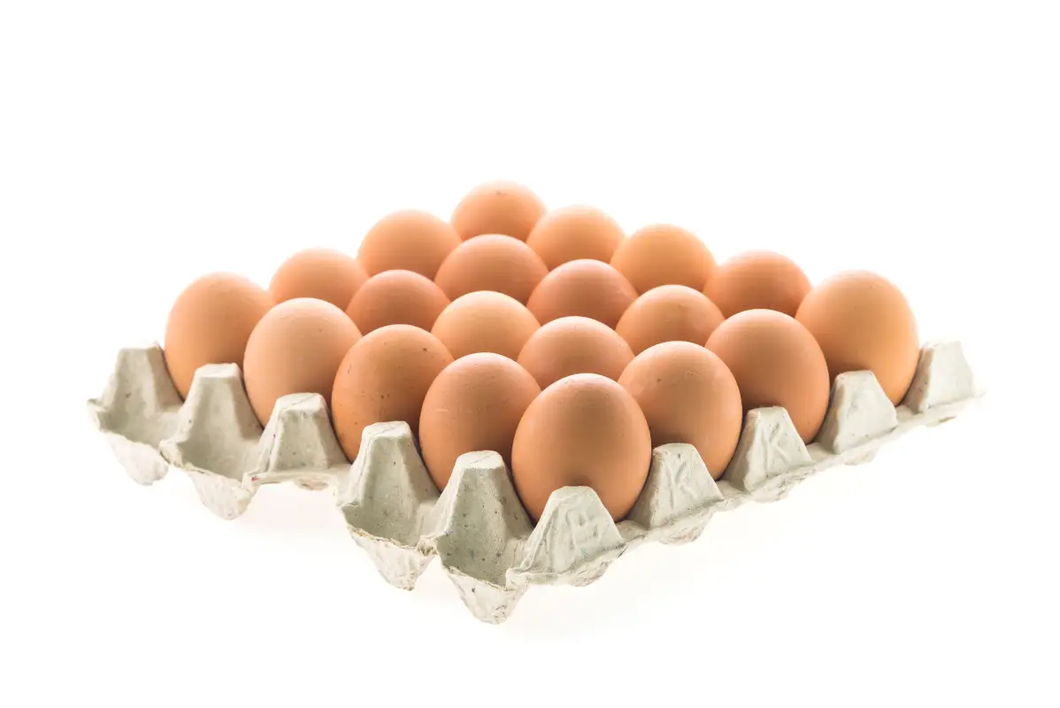 eggs